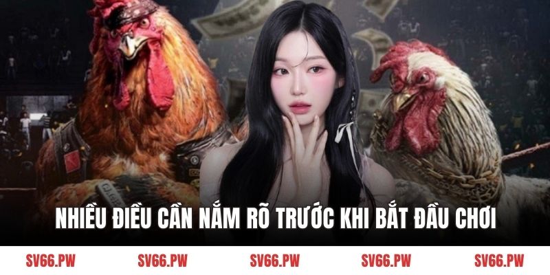 Nhiều điều cần nắm rõ trước khi bắt đầu chơi